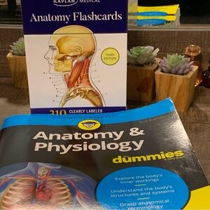 Anatomy bundle